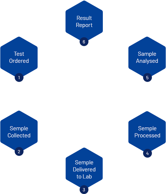 https://laboratorioh2o.com/wp-content/uploads/2020/04/experience_01.png